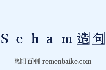 Scham造句是什么意思的图片